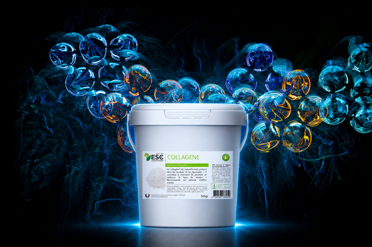 Pure marine collagen - direct intake during critical periods